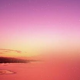 白桦林 白桦林