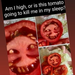 Rano Ranoshka, New York City