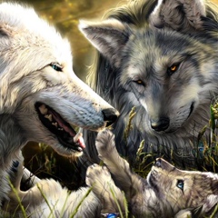 Игорь Одутов, 13.10.1982, Сочи