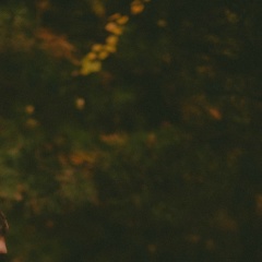 Андрей Петров, 08.02.1993, Ярославль