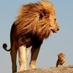 Beibut Saduakassov, 20.09.1920