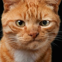 Максим Юдин, 06.11, Пенза