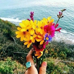 Меймангул Брешова, 01.09, Красноярск