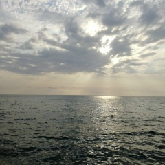 Виктор Ковалёв, 18.05, Москва