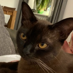 Алёша Бульдозеров, 10.11.1982, Санкт-Петербург