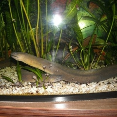 Андрей Куценко, 14.10, Евпатория