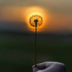 Susanna Mikoyan, 16.07.2000, Ереван