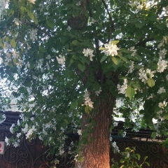 Zarina Jumabayeva, 29.09, Актобе