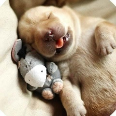 Тамара Ни, 30.11.1987, Ташкент