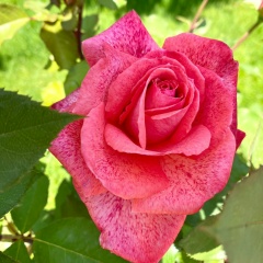 Мадина Махамедова, 28.10