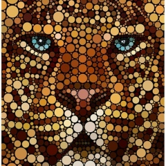 Staska Namaste, 06.02