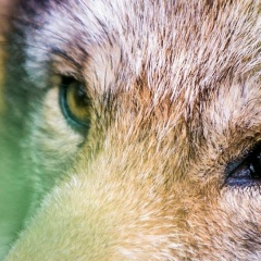 Татьяна Кохан, 24.12, Гомель