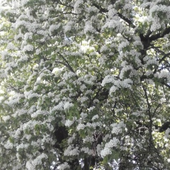 Денис Терещук, 04.12, Киев