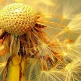 Акмарал Мырзакулова, 01.05.1992, Алматы