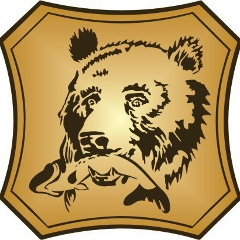 Александр Пузиков, Санкт-Петербург