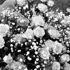 Светлана Лекомцева, 10.01, Ижевск