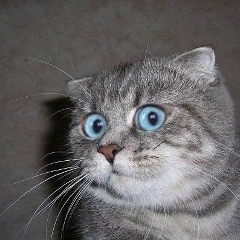 Даниил Ёркин, 10.01.1988, Москва