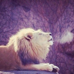 Асет Юсупова, 25.09.1998