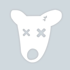 Лена Плигина, Москва