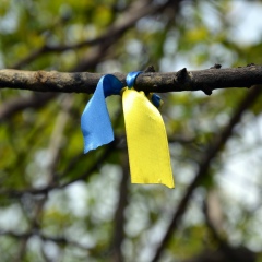 Ира Чернышова, 03.01, Черкассы