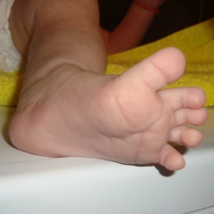 Кристинка Нужная, Сочи