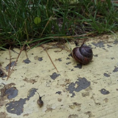 Ия Максимова, 22.06.1997