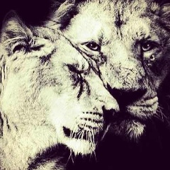 Пернеали Сейдилдаев, 08.04, Тараз