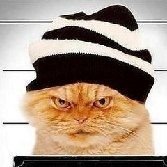 Алексей Левандовский, 01.04, Волгоград