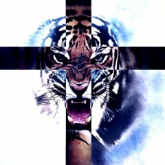 Максим Геннадьевич, 15.08.1987, Клин