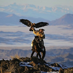 Дархан Исабек