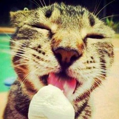 George Prokopenko, 11.06.1990, Киев