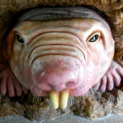 Виталий Ляпин, 21.09.1983, Москва