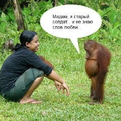 Сергей Соколов, 22.12.1982, Конаково