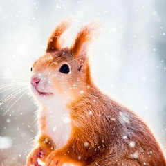 Наталья Вертугина, 04.07, Магадан