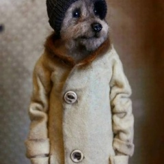 Лариса Бухтеева, Орехово-Зуево