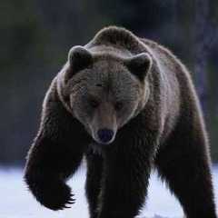 Артур Асаев, 28.05.1986, Уфа