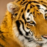 Янина Надрага, 01.04.1986, Днепр (Днепропетровск)