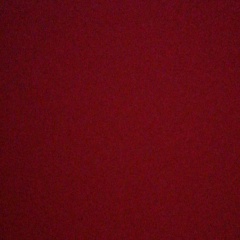 Лёха Лёха, Калининград