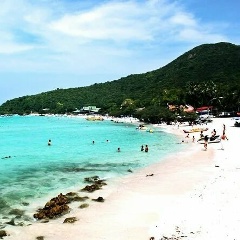 The Ghoul Howard, Краснодар