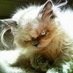 Дмитрий Быданов, 26.10.1987