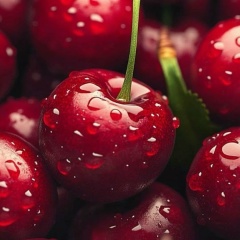 Оксана Куликова, 18.11.1981, Уфа