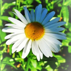 Ирина Шаркова, 21.05, Санкт-Петербург