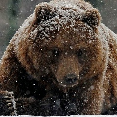 Artur Sherman, 03.03, Алматы