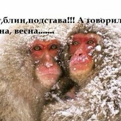 Куаныш Шариканов, 22.06.1977, Алматы