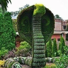 Begli Muhammetberdiyew, 22.08, Запорожье