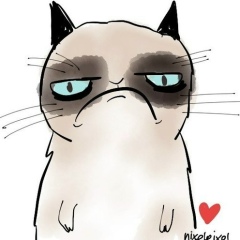 Андрей Романенко, 17.05, Киев