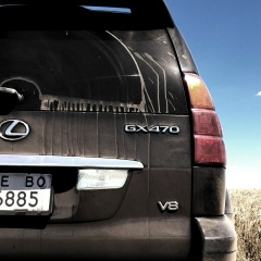 Виталий Шапошник, Николаев