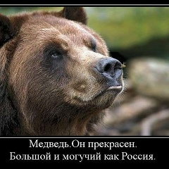 Евгений Дубровин, 19.04.1985, Москва