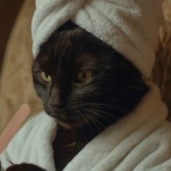 Алёнка Аленкина