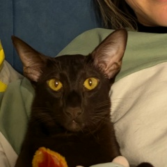 Галина Титова, 21.06.1983, Санкт-Петербург